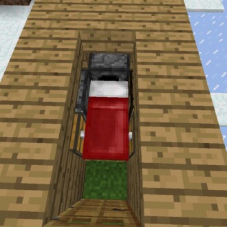 Smallest House with Bed
