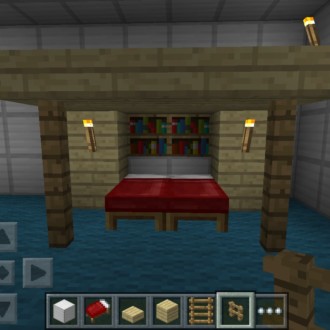 Fancy Bookshelf Queen Bed